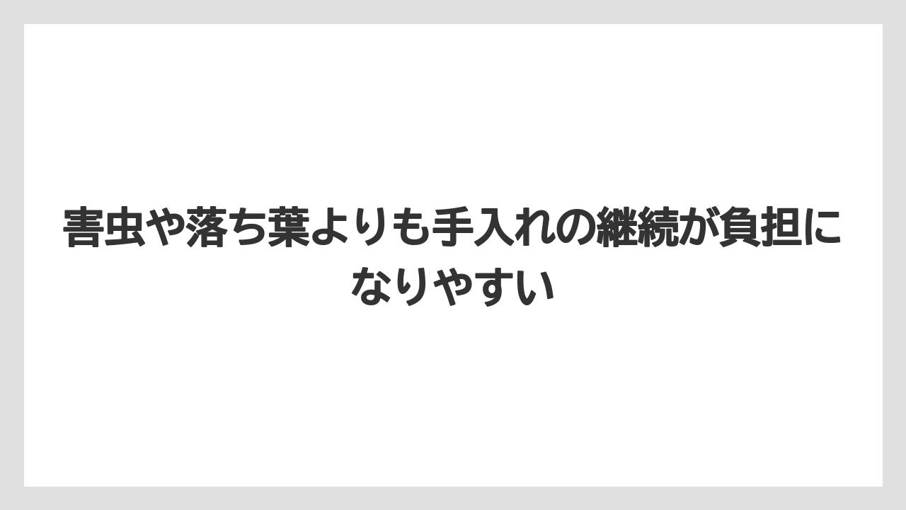 【栽培】【農園】【農業】害虫や落ち葉よりも手入れの継続が負担になりやすい