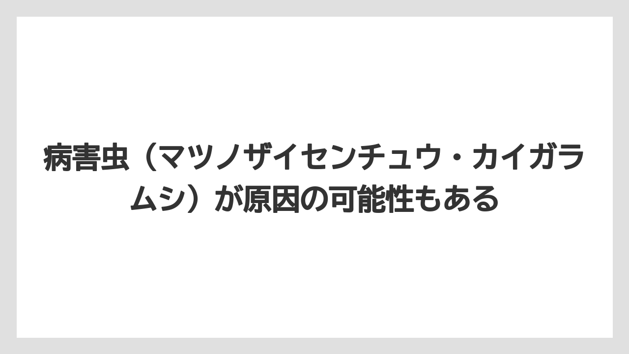 【栽培】【葉】【農業】病害虫（マツノザイセンチュウ・カイガラムシ）が原因の可能性もある