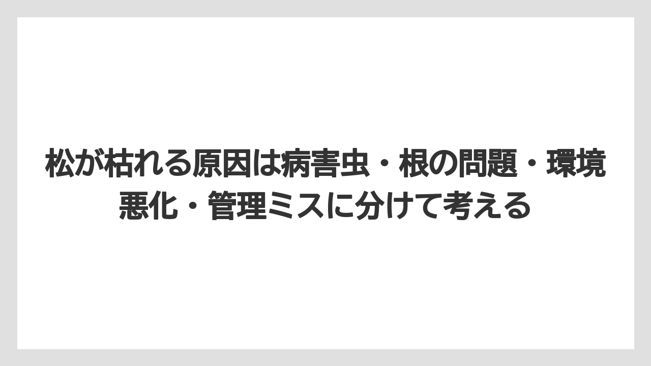 【枯れ】【栽培】【葉】松が枯れる原因は病害虫・根の問題・環境悪化・管理ミスに分けて考える