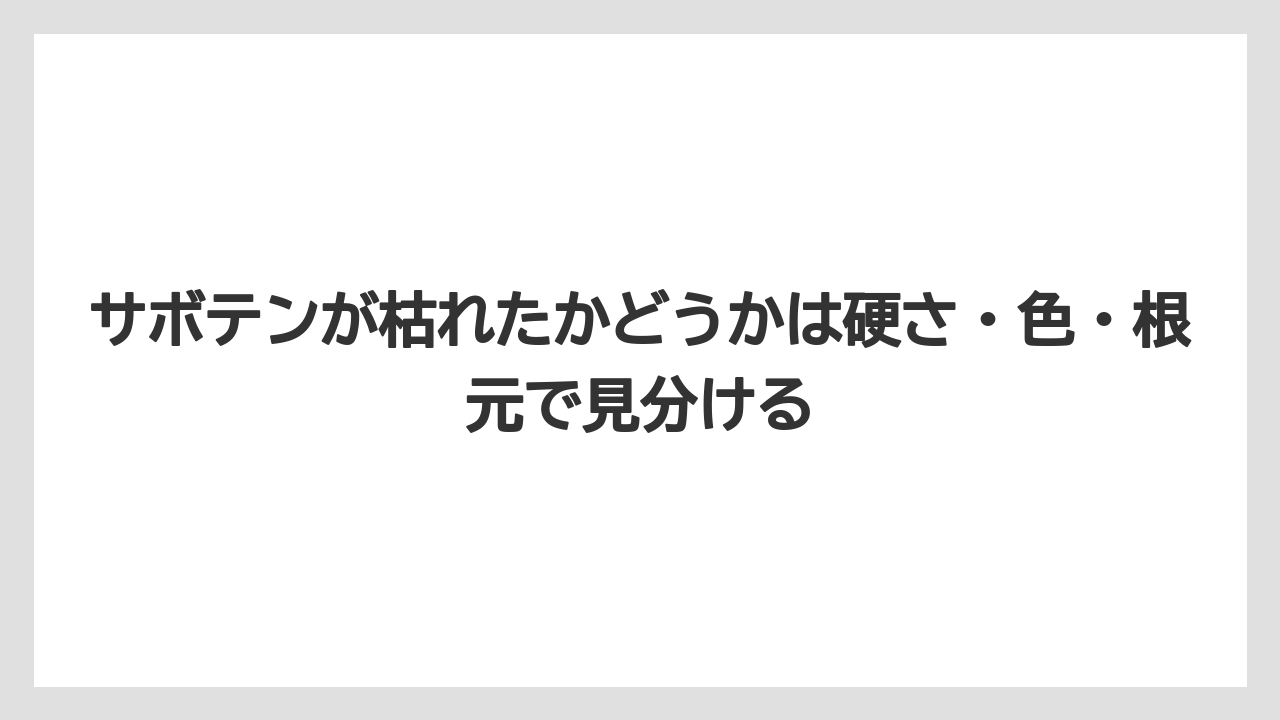 【サボテン】【枯れ】【栽培】サボテンが枯れたかどうかは硬さ・色・根元で見分ける