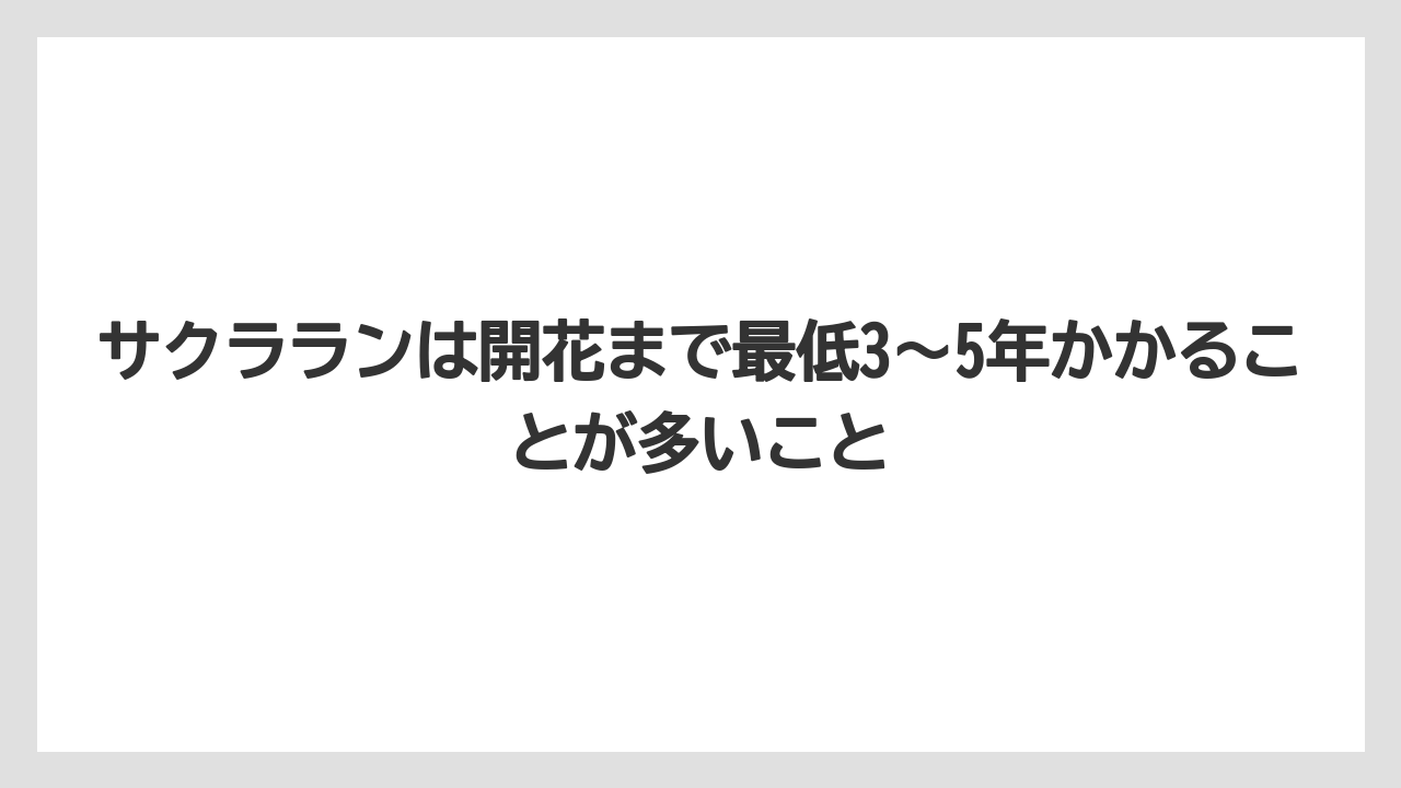 【栽培】【農園】【農業】サクラランは開花まで最低3〜5年かかることが多いこと