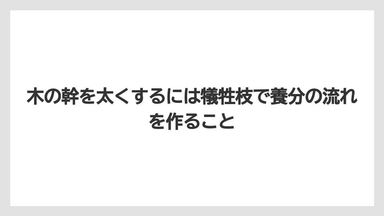 【100均】【もみじ】【ゼオライト】【バラ】【栽培】木の幹を太くするには犠牲枝で養分の流れを作ること