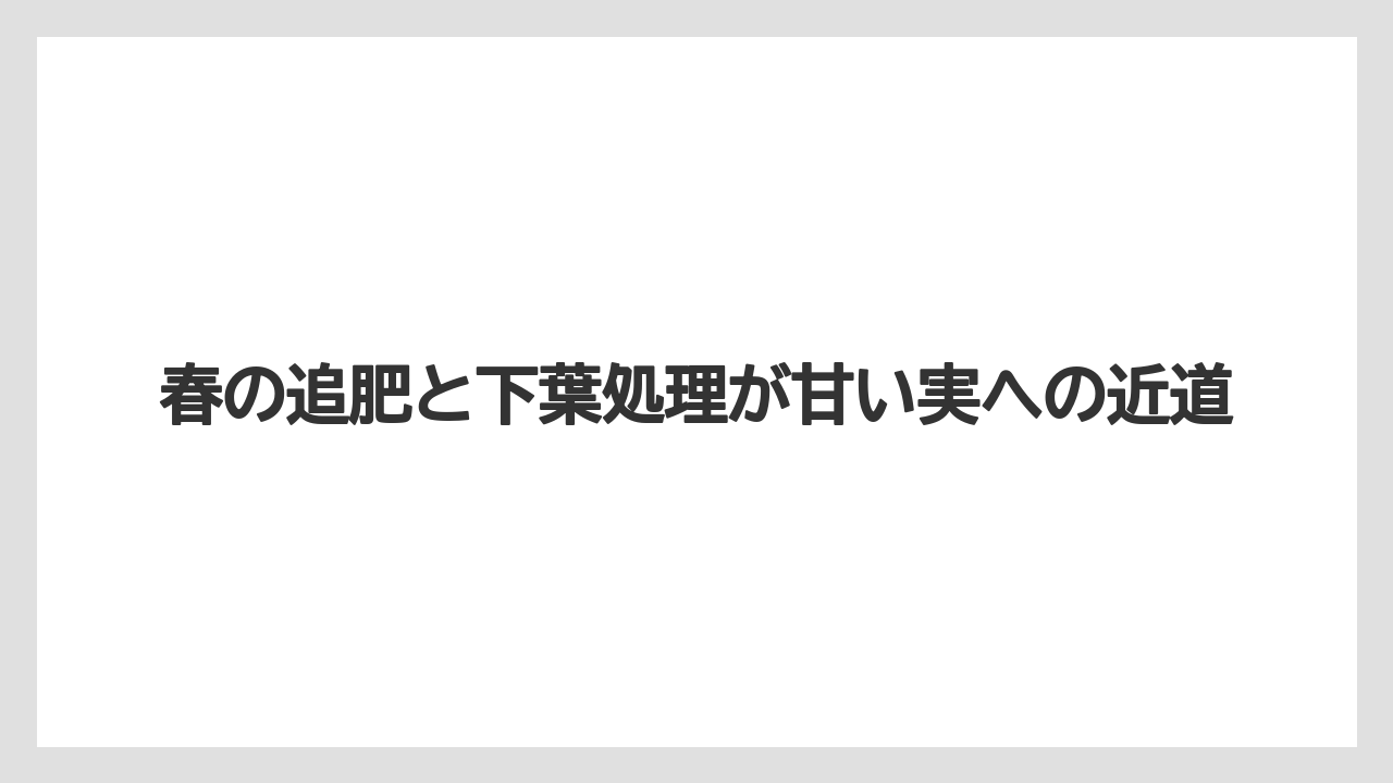 【栽培】【植え】【農業】春の追肥と下葉処理が甘い実への近道