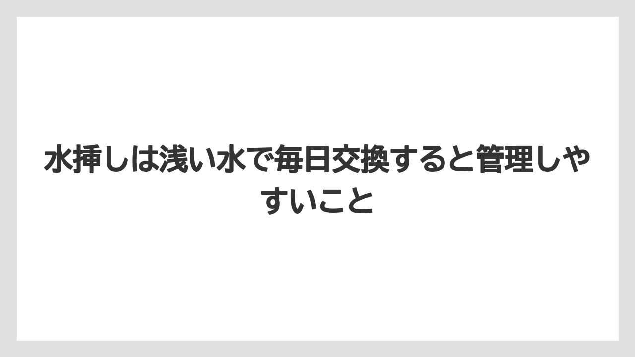 【サンスベリア】【栽培】【農業】水挿しは浅い水で毎日交換すると管理しやすいこと