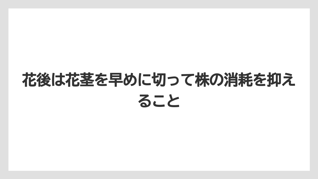 【栽培】【花】【農業】花後は花茎を早めに切って株の消耗を抑えること