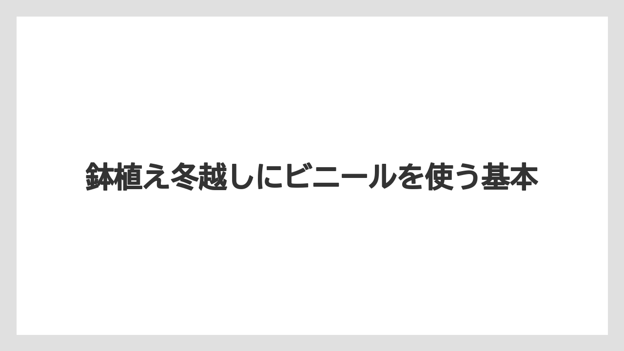 鉢植え冬越しにビニールを使う基本