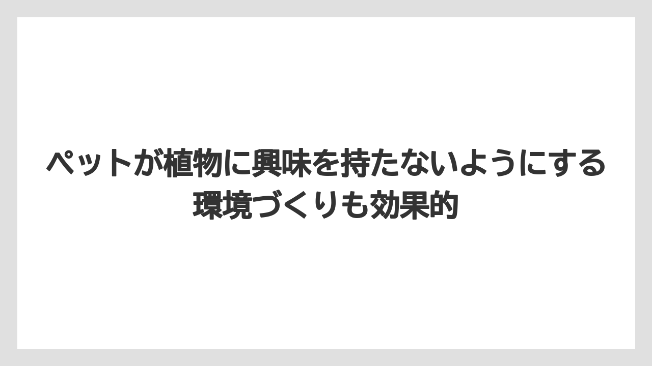【シマトネリコ】【庭】【栽培】【毒】ペットが植物に興味を持たないようにする環境づくりも効果的