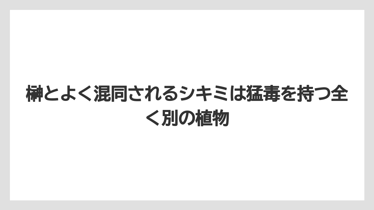 【いけない】【庭】【栽培】【植え】【育て方】榊とよく混同されるシキミは猛毒を持つ全く別の植物
