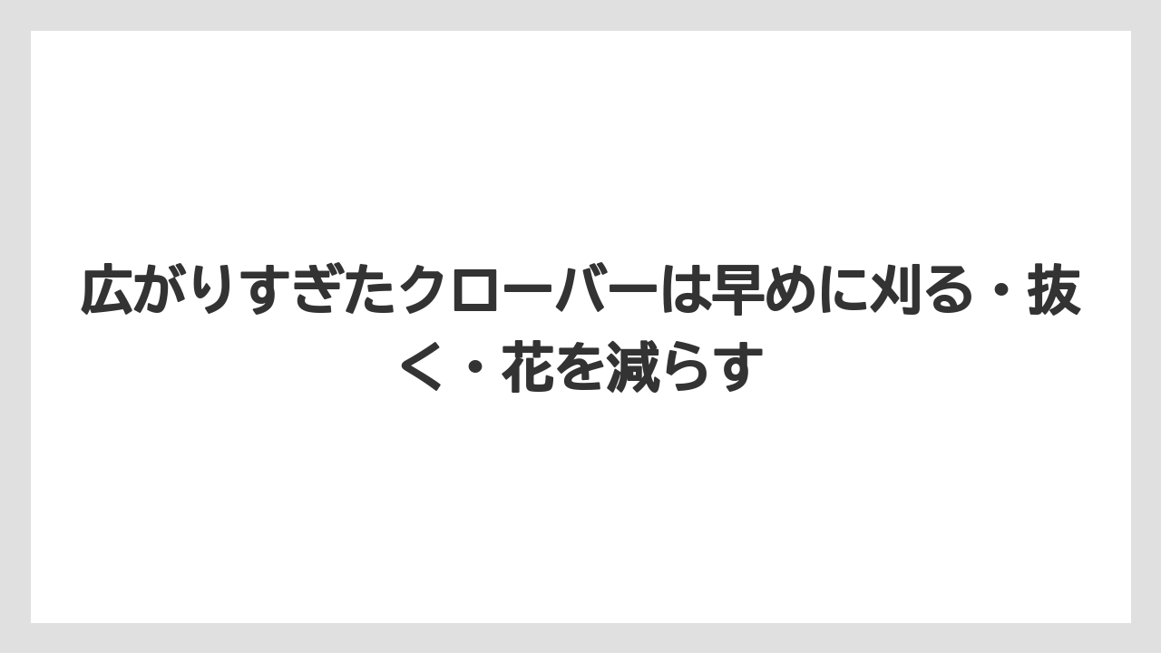 広がりすぎたクローバーは早めに刈る・抜く・花を減らす