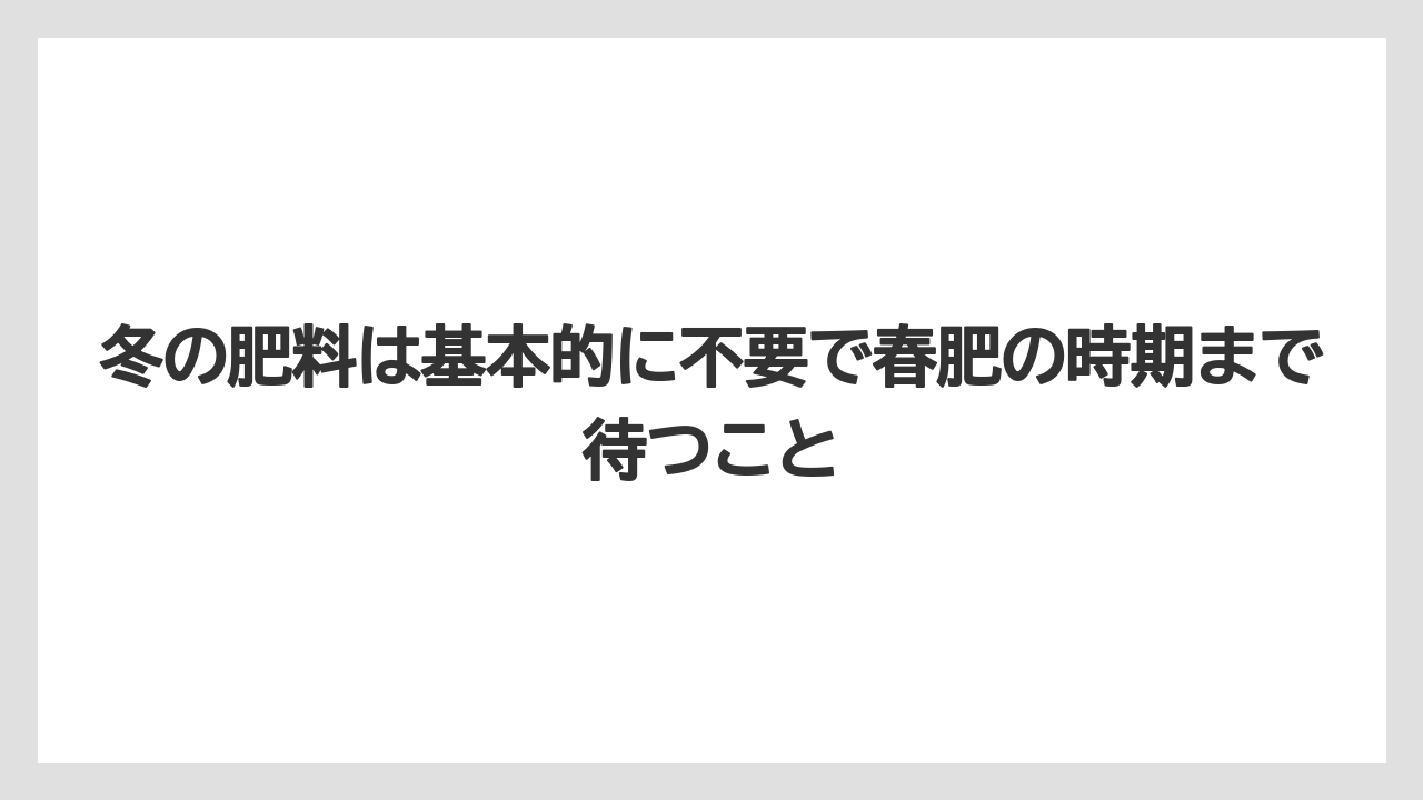 【栽培】【農園】【農業】冬の肥料は基本的に不要で春肥の時期まで待つこと