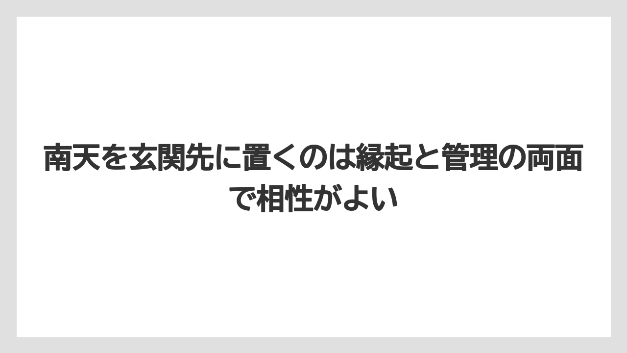 【栽培】【農園】【農業】南天を玄関先に置くのは縁起と管理の両面で相性がよい