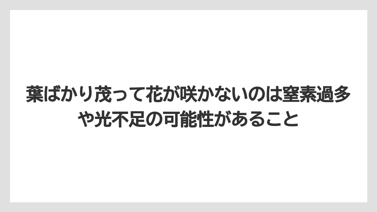【栽培】【農園】【農業】葉ばかり茂って花が咲かないのは窒素過多や光不足の可能性があること