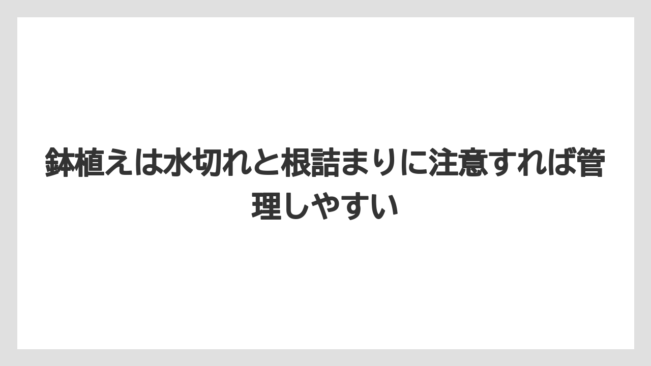 【ほったらかし】【栽培】【植え】鉢植えは水切れと根詰まりに注意すれば管理しやすい