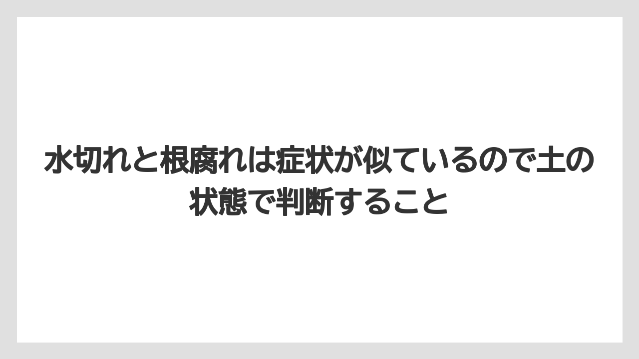 【栽培】【葉】【農業】水切れと根腐れは症状が似ているので土の状態で判断すること