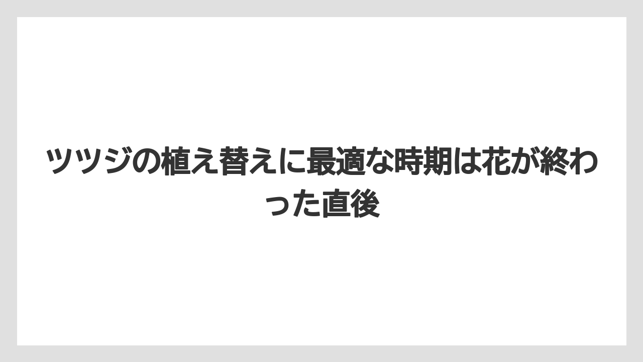 【栽培】【植え】【農業】ツツジの植え替えに最適な時期は花が終わった直後