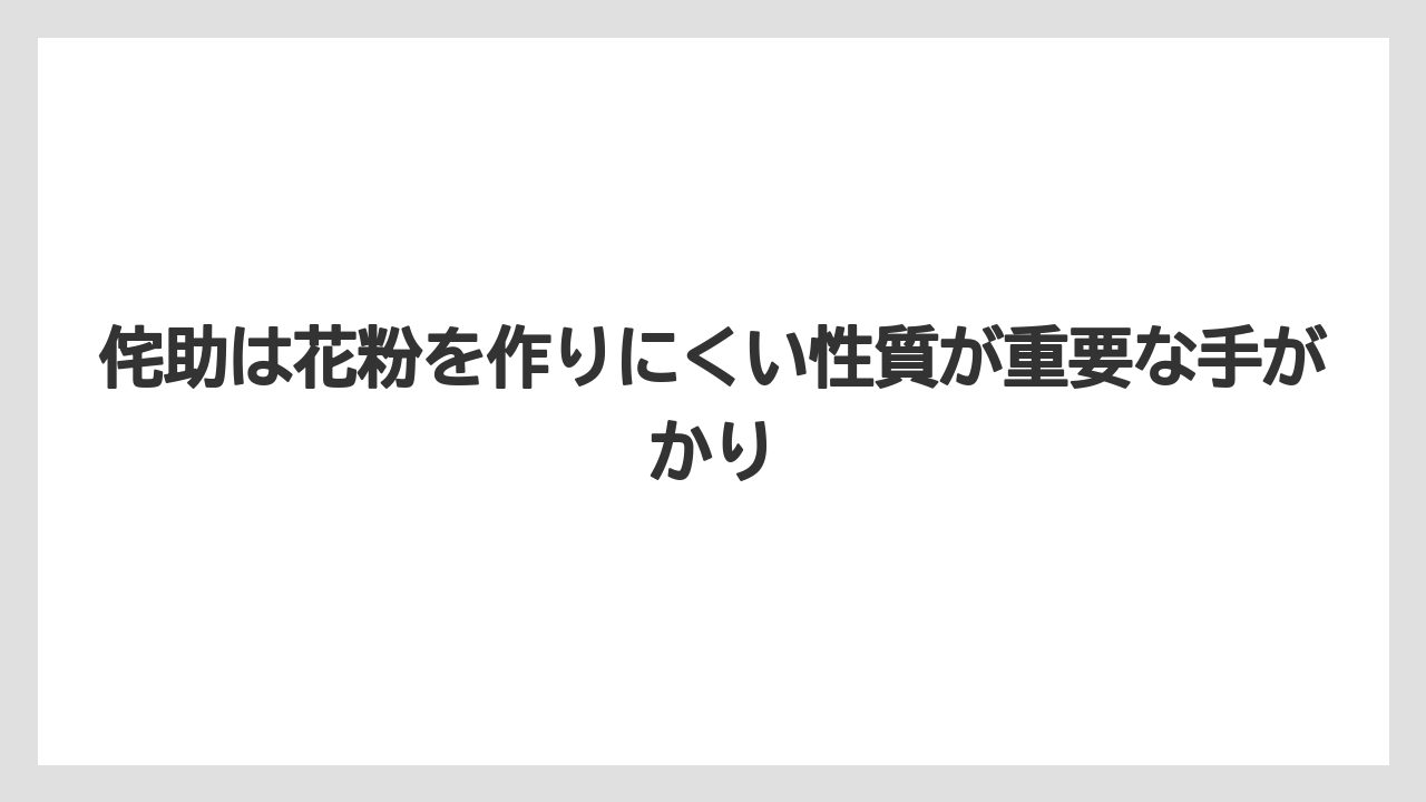 【栽培】【農園】【農業】侘助は花粉を作りにくい性質が重要な手がかり