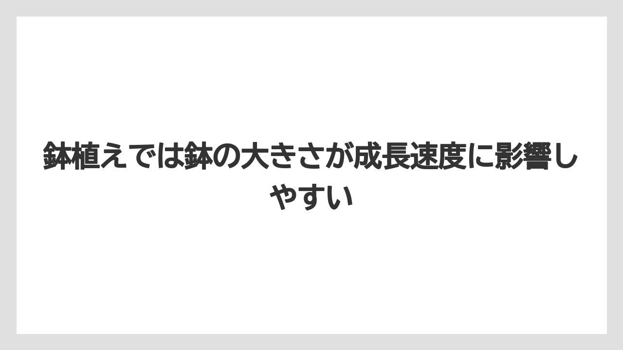 【栽培】【植え】【農業】鉢植えでは鉢の大きさが成長速度に影響しやすい