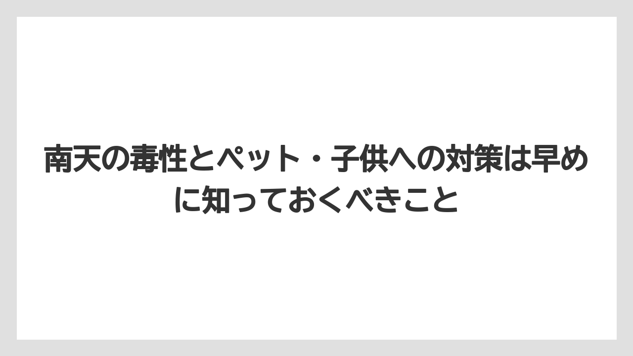 【栽培】【農園】【農業】南天の毒性とペット・子供への対策は早めに知っておくべきこと
