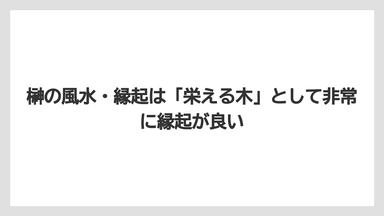 【いけない】【庭】【栽培】【植え】【育て方】榊の風水・縁起は「栄える木」として非常に縁起が良い