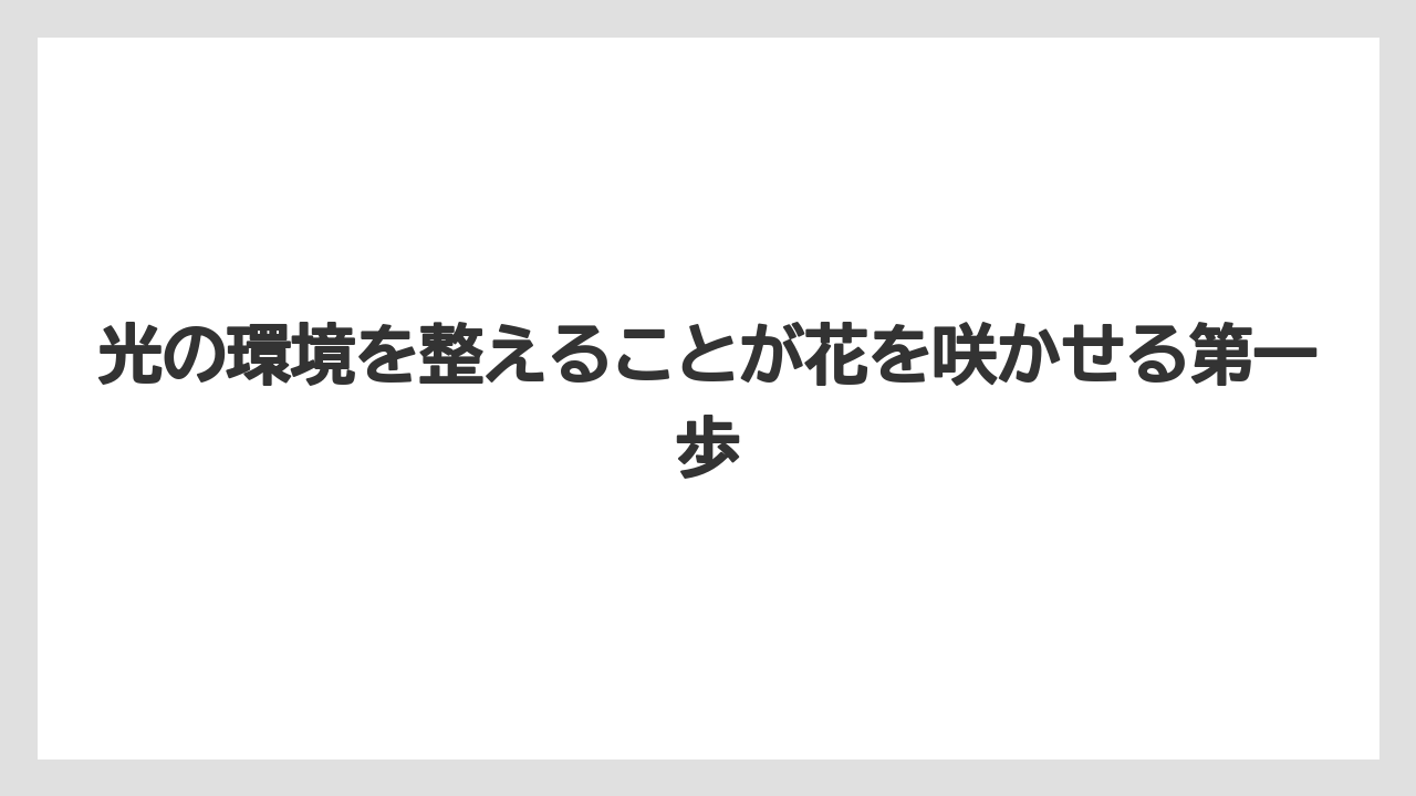 【栽培】【花】【葉】光の環境を整えることが花を咲かせる第一歩