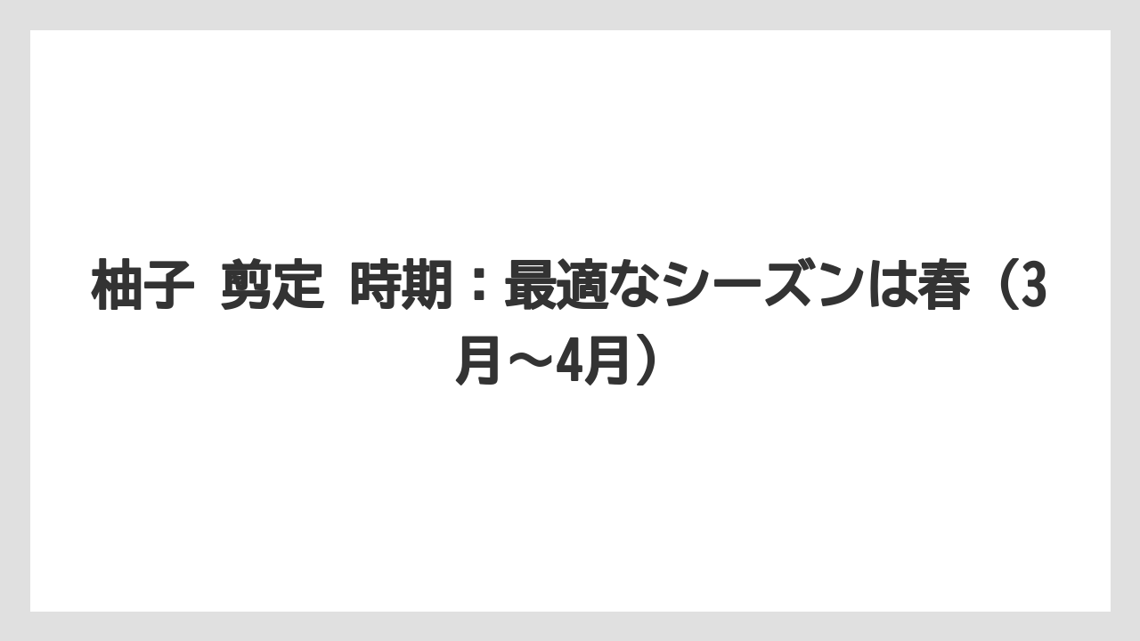【栽培】【農園】【農業】柚子 剪定 時期：最適なシーズンは春（3月〜4月）