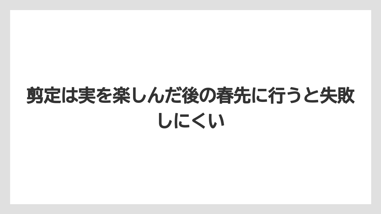 【栽培】【農園】【農業】剪定は実を楽しんだ後の春先に行うと失敗しにくい