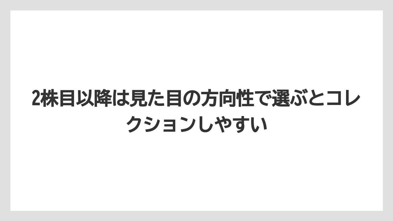 2株目以降は見た目の方向性で選ぶとコレクションしやすい