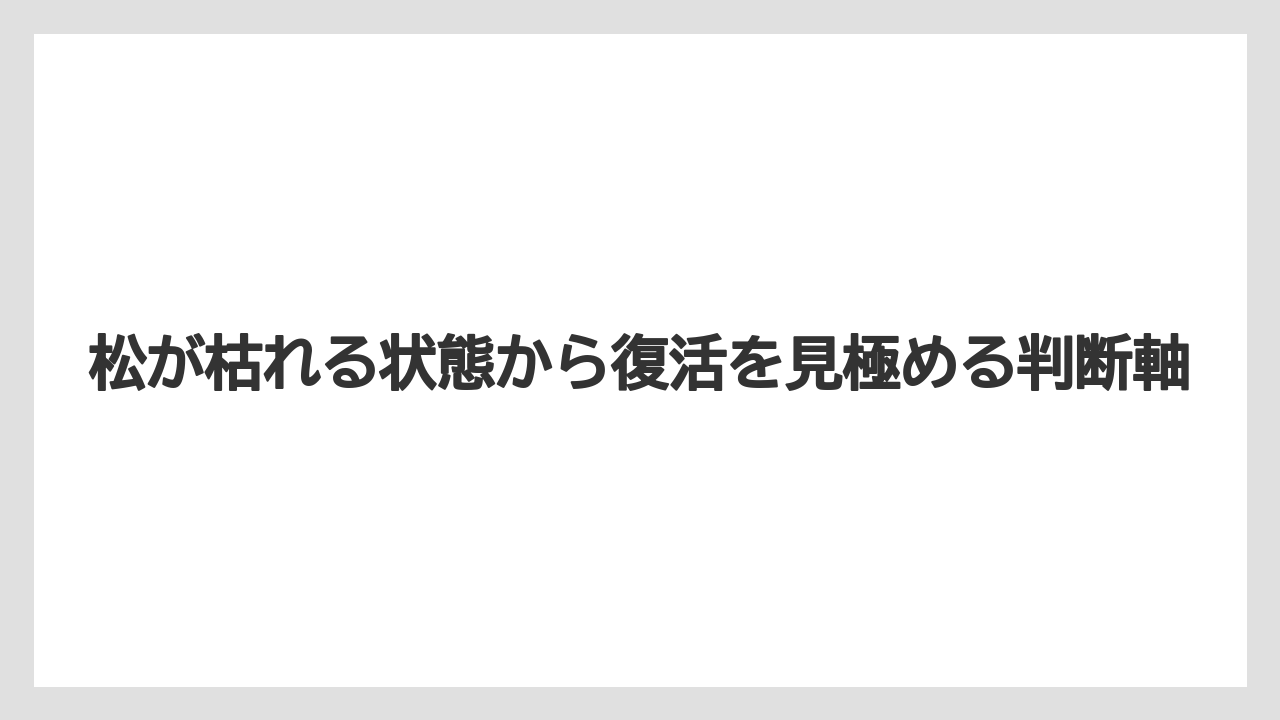 松が枯れる状態から復活を見極める判断軸