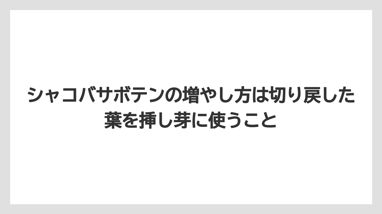 【サボテン】【栽培】【農業】シャコバサボテンの増やし方は切り戻した葉を挿し芽に使うこと
