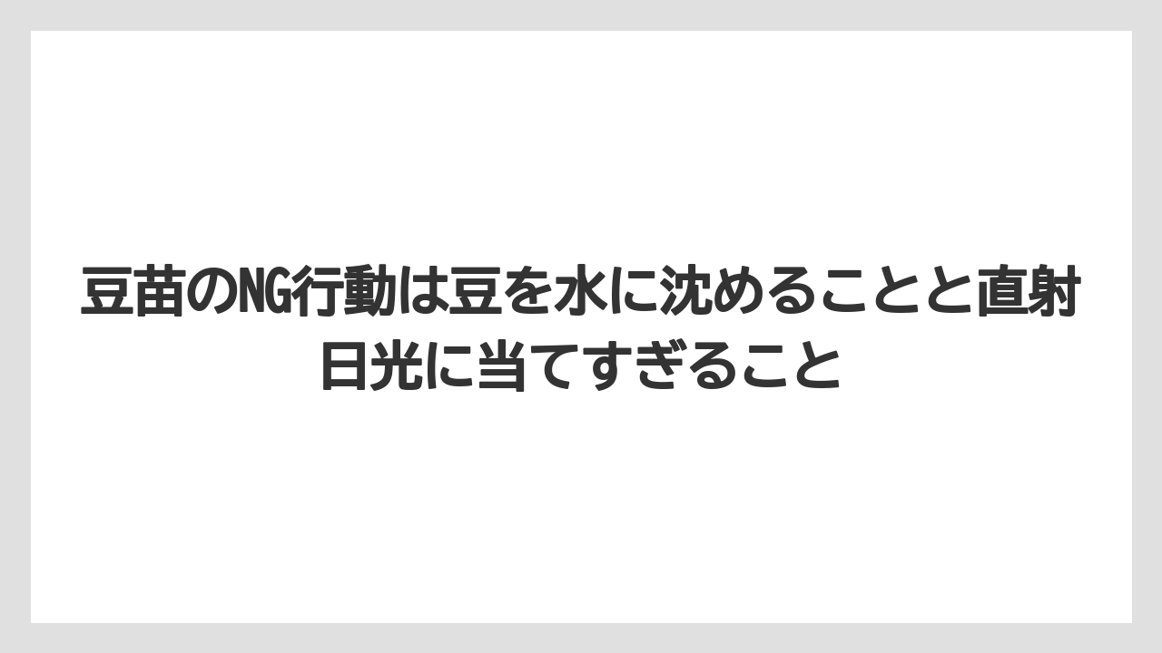 【土】【栽培】【植え】【育て方】【豆苗】豆苗のNG行動は豆を水に沈めることと直射日光に当てすぎること
