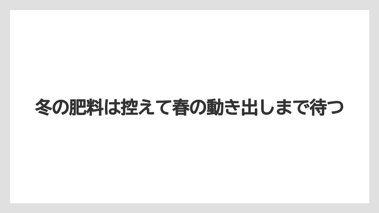 【栽培】【農園】【農業】冬の肥料は控えて春の動き出しまで待つ