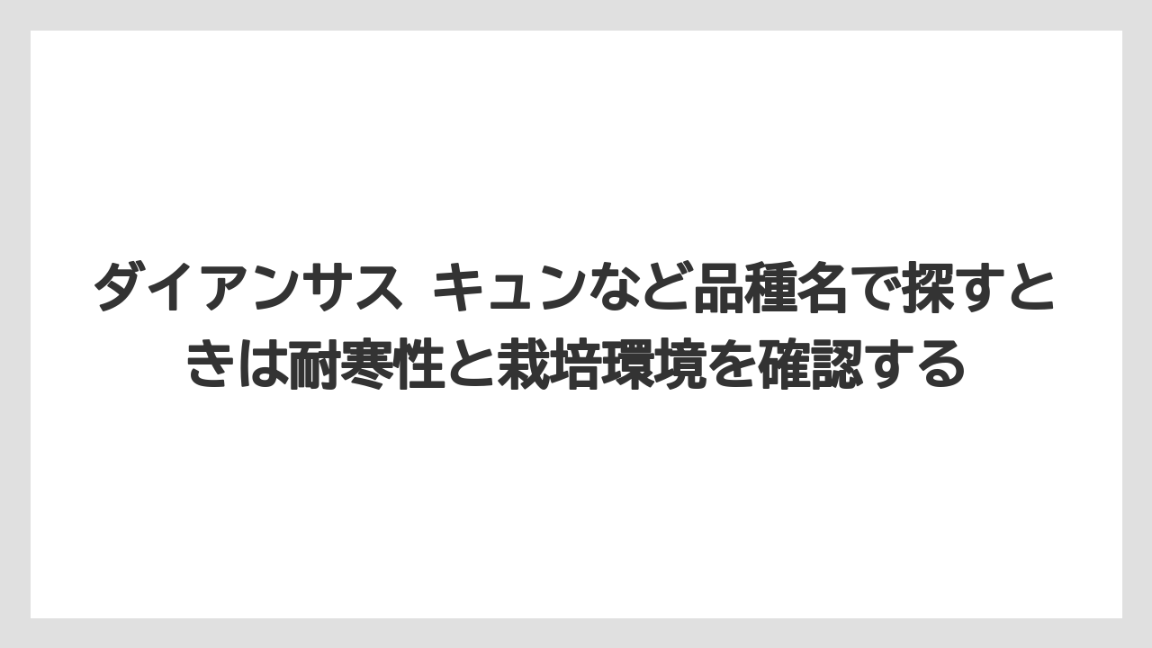 【栽培】【農園】【農業】ダイアンサス キュンなど品種名で探すときは耐寒性と栽培環境を確認する
