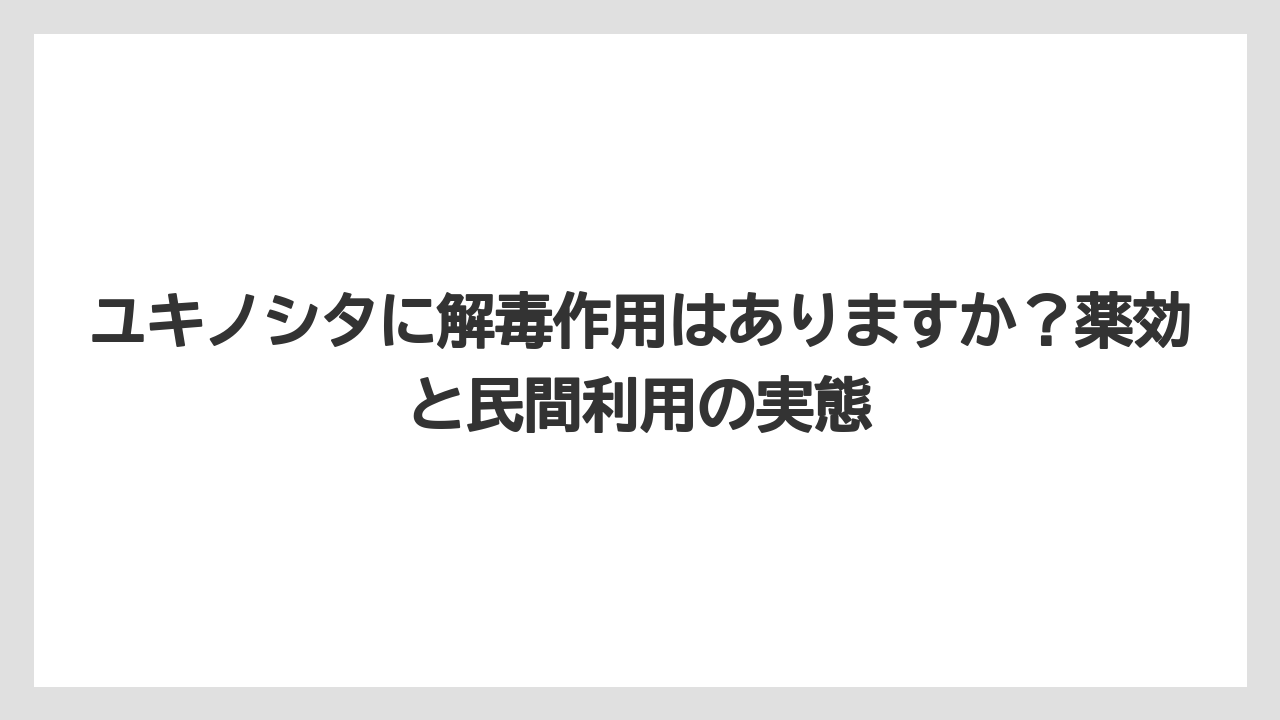 【栽培】【農園】【農業】ユキノシタに解毒作用はありますか？薬効と民間利用の実態