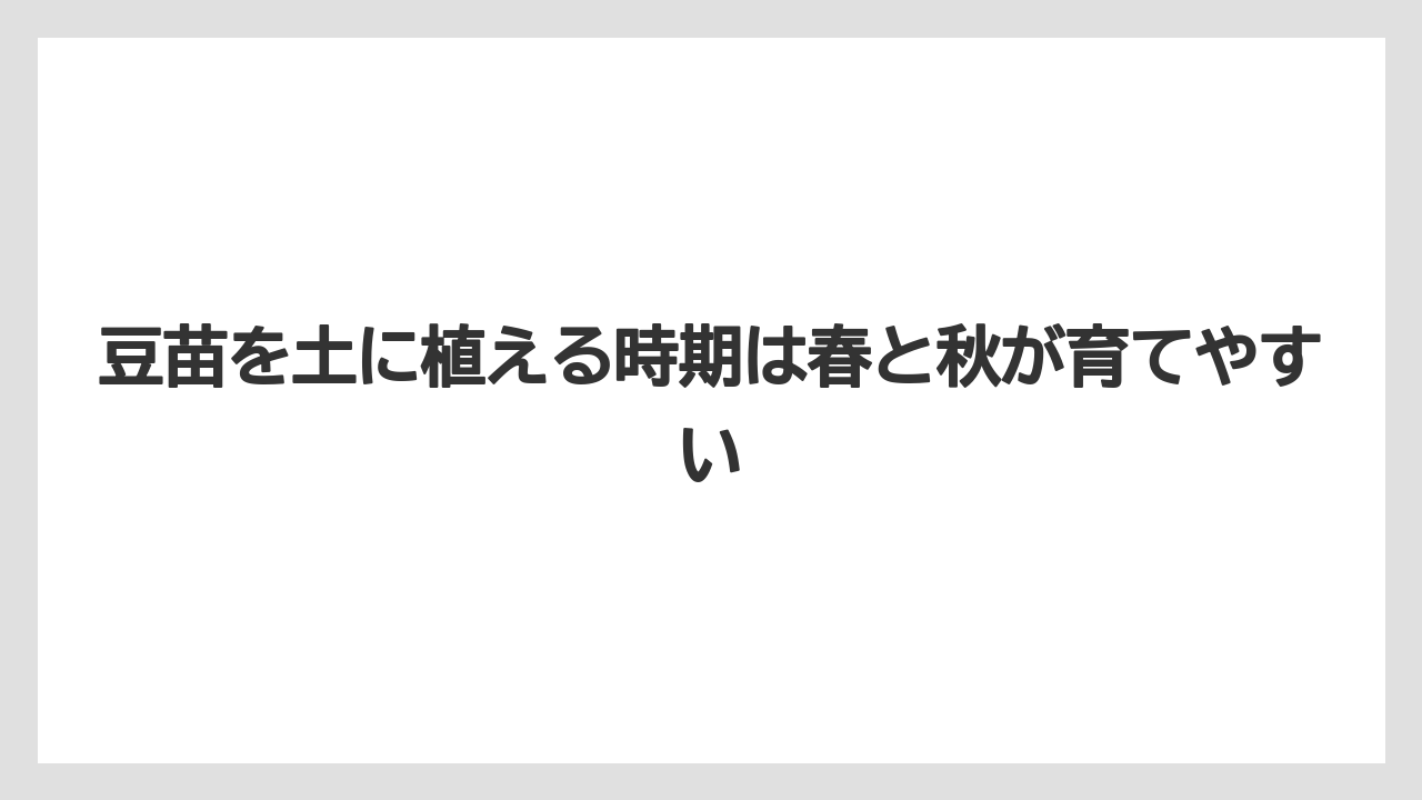 【栽培】【豆苗】【農業】豆苗を土に植える時期は春と秋が育てやすい