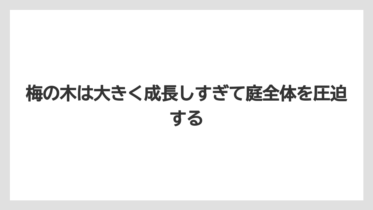 【支柱】【栽培】【農業】梅の木は大きく成長しすぎて庭全体を圧迫する