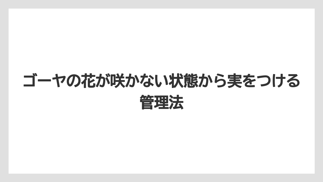 【ゴーヤ】【栽培】【花】猛暑や低温など気温ストレスで開花が遅れること