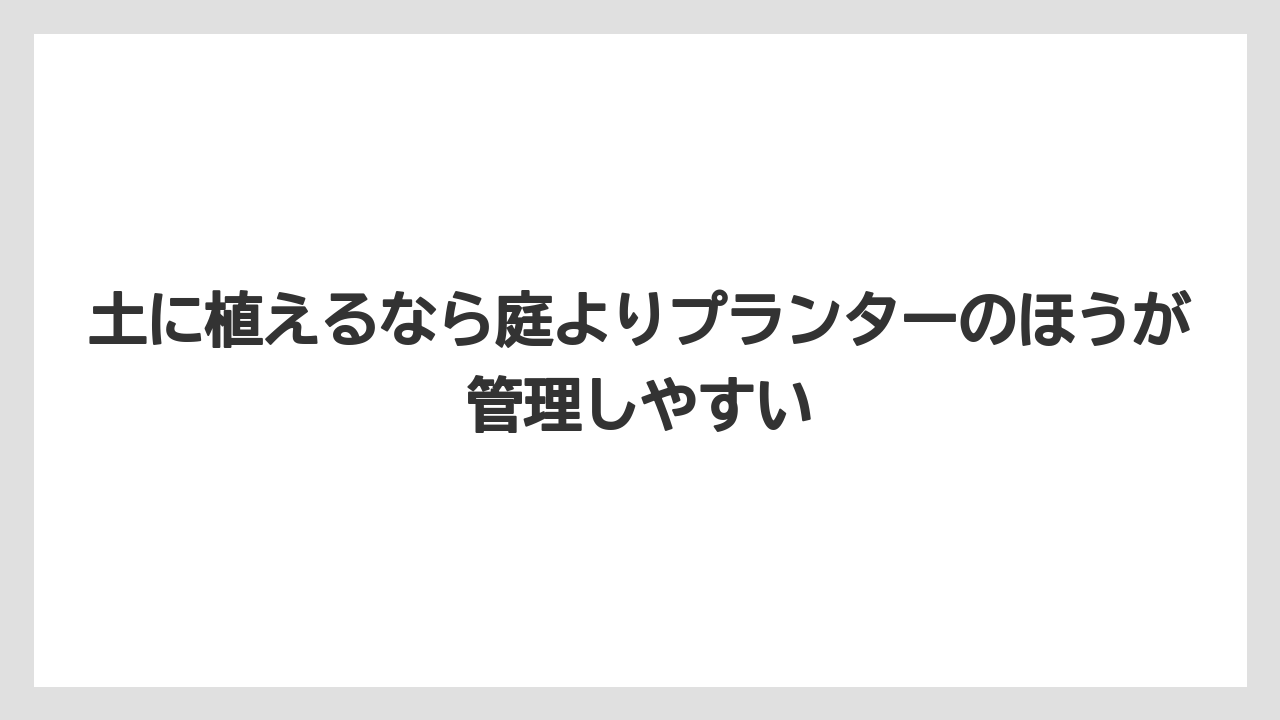 【支柱】【栽培】【豆苗】【農業】土に植えるなら庭よりプランターのほうが管理しやすい