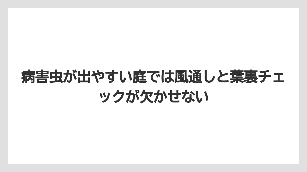 【いけない】【庭】【後悔】【栽培】【植え】病害虫が出やすい庭では風通しと葉裏チェックが欠かせない