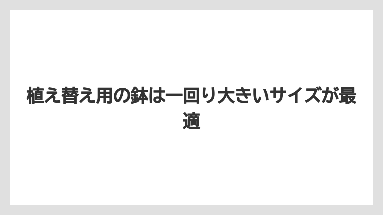 【栽培】【植え】【農業】植え替え用の鉢は一回り大きいサイズが最適