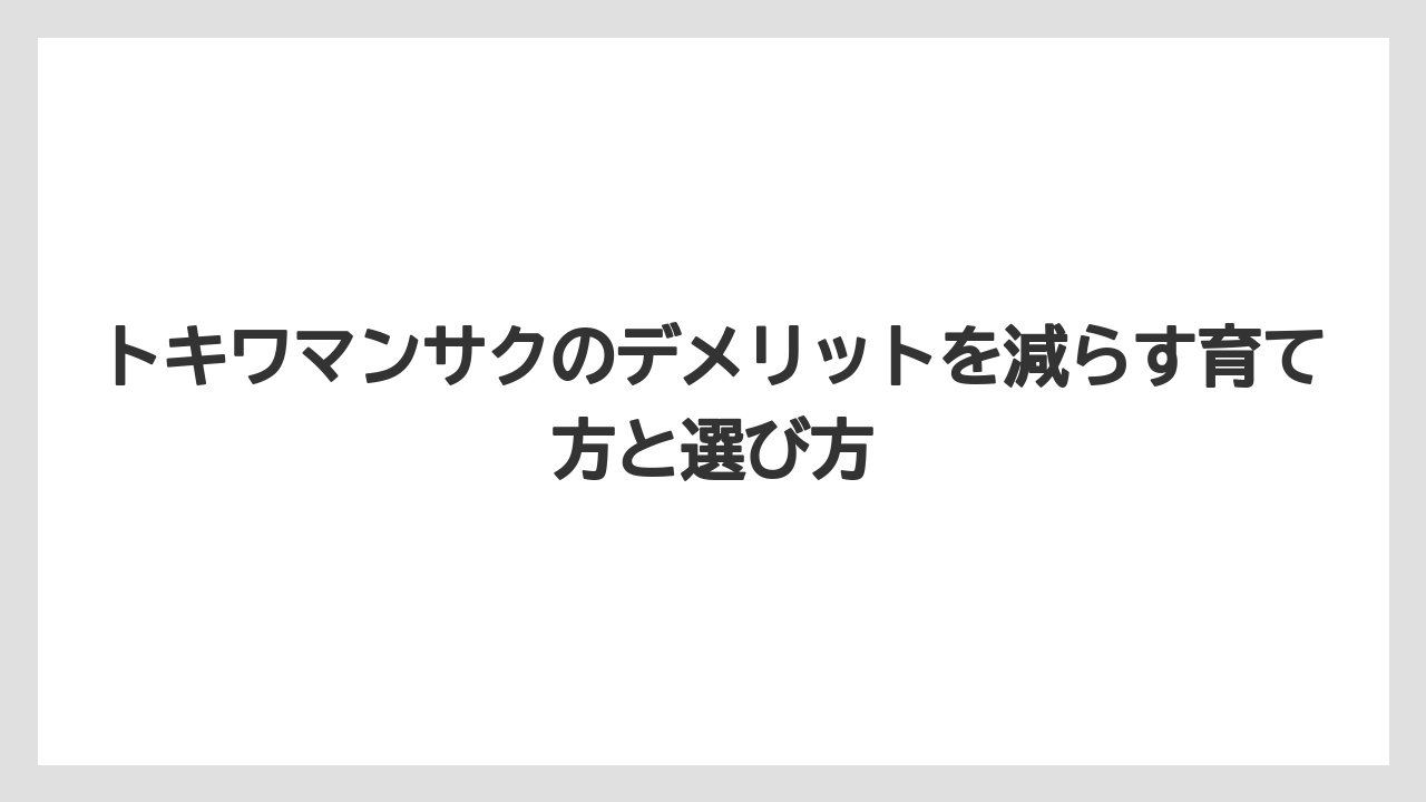 【栽培】【農園】【農業】トキワマンサクは寒さや日照不足で目隠し力が落ちることがある