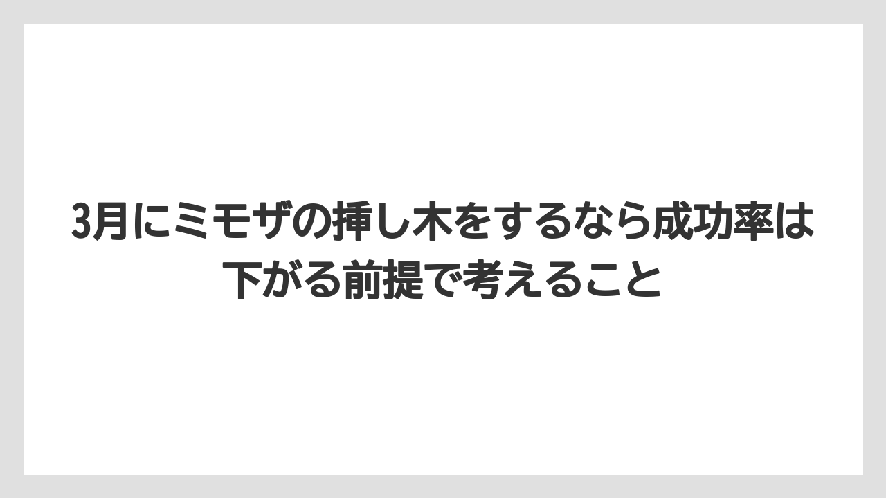 【バラ】【ミモザ】【メネデール】【栽培】【肥料】3月にミモザの挿し木をするなら成功率は下がる前提で考えること