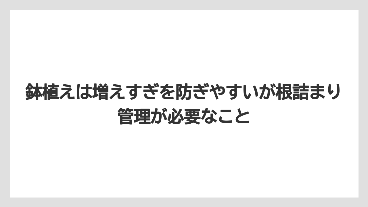 鉢植えは増えすぎを防ぎやすいが根詰まり管理が必要なこと