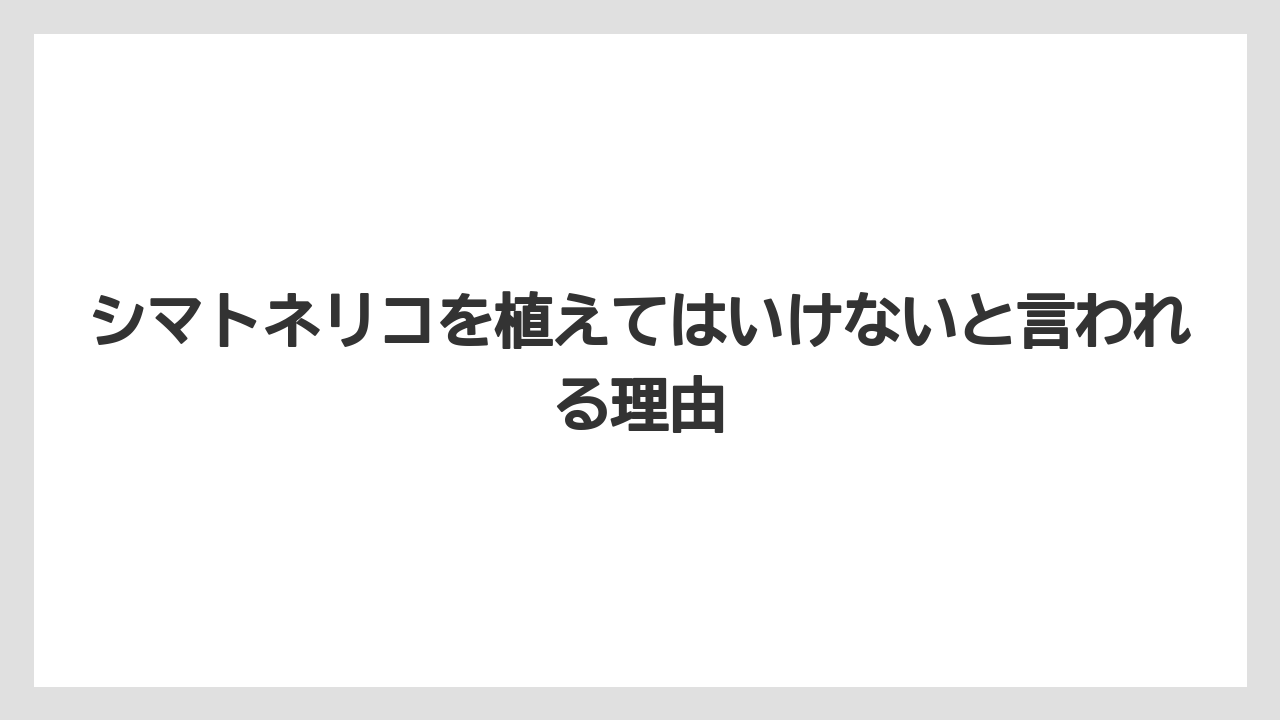 シマトネリコを植えてはいけないと言われる理由