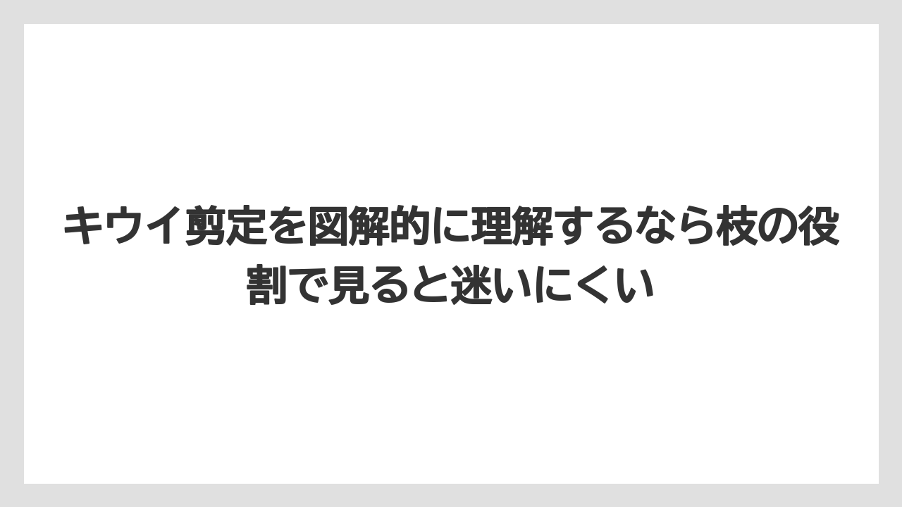 【バラ】【栽培】【農業】キウイ剪定を図解的に理解するなら枝の役割で見ると迷いにくい