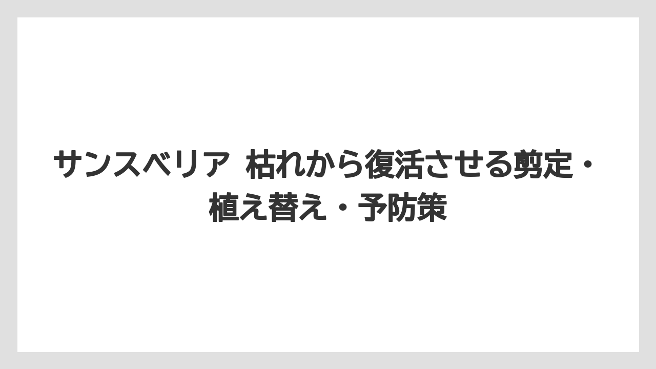 【サンスベリア】【栽培】【農業】外葉が1枚だけ枯れる場合は新陳代謝の可能性もある
