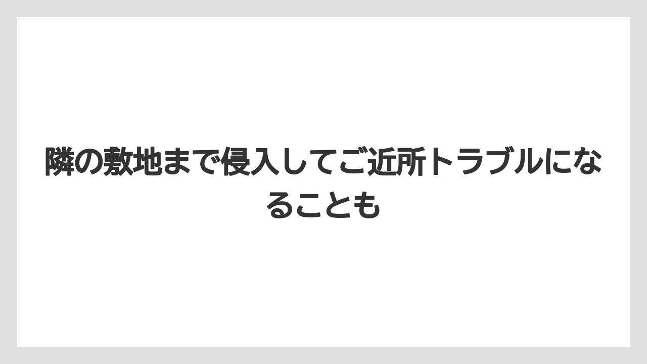【栽培】【農園】【農業】隣の敷地まで侵入してご近所トラブルになることも