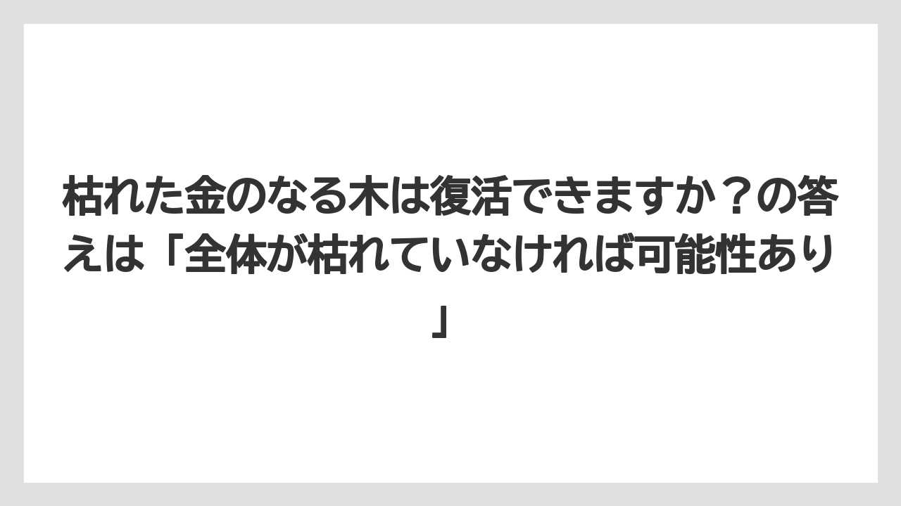 【木】【栽培】【農業】枯れた金のなる木は復活できますか？の答えは「全体が枯れていなければ可能性あり」