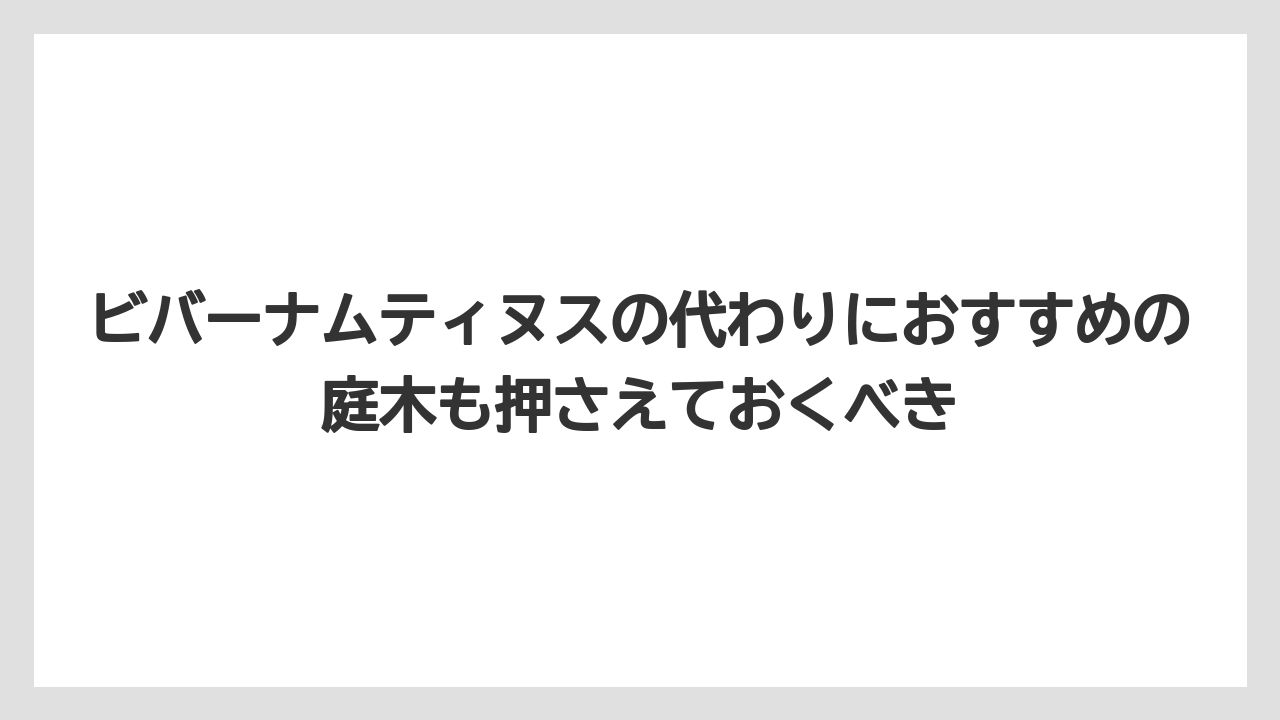 【ビバーナム】【後悔】【栽培】【植え】【育て方】ビバーナムティヌスの代わりにおすすめの庭木も押さえておくべき