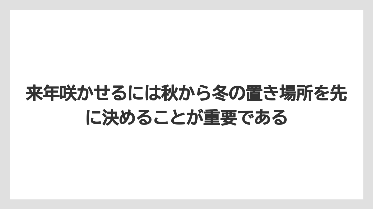 【栽培】【農園】【農業】来年咲かせるには秋から冬の置き場所を先に決めることが重要である