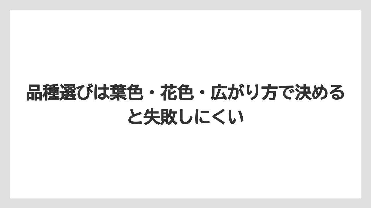 【バラ】【栽培】【肥料】品種選びは葉色・花色・広がり方で決めると失敗しにくい
